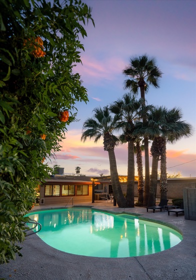 Back yard - Pool