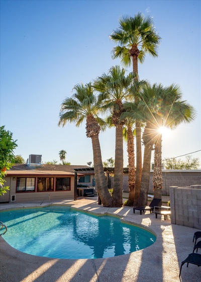 Pool and Palm Trees