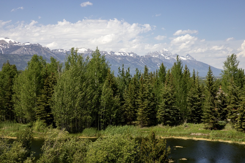 Yard - Eagle's Vantage - Wilson, Wyoming - Luxury Villa Rental