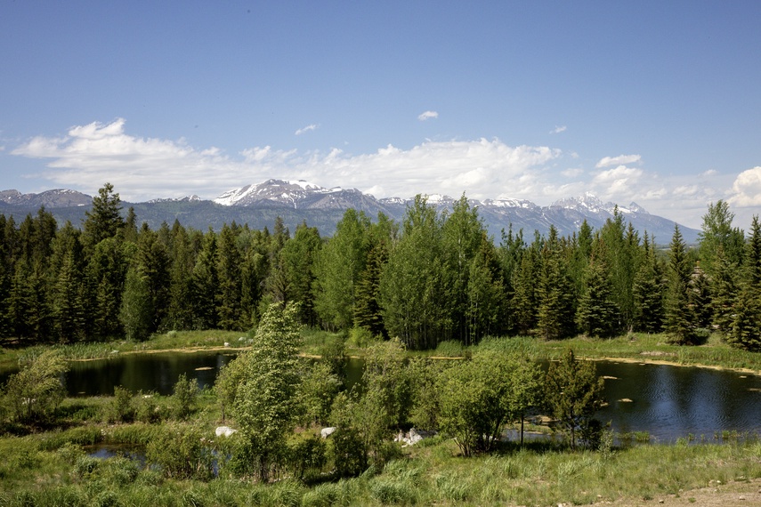 Yard - Eagle's Vantage - Wilson, Wyoming - Luxury Villa Rental