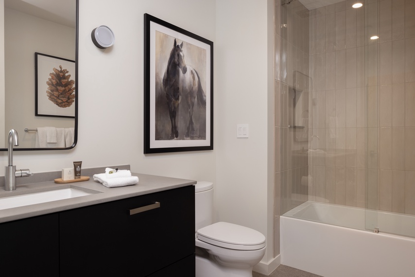 Guest Bathroom - Glenwood 09 - Jackson, WY - Luxury Villa Rental