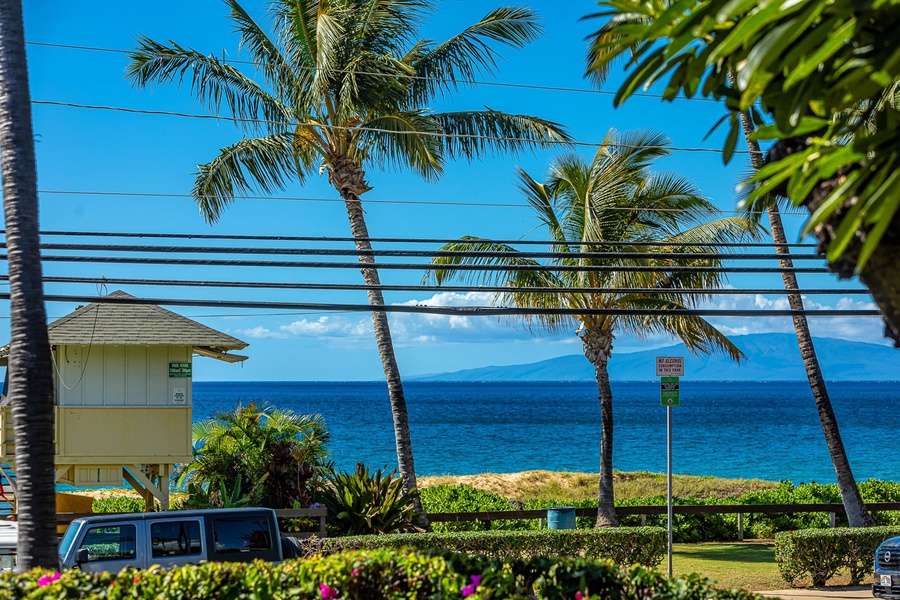 Watch the palm trees sway from your private lanai