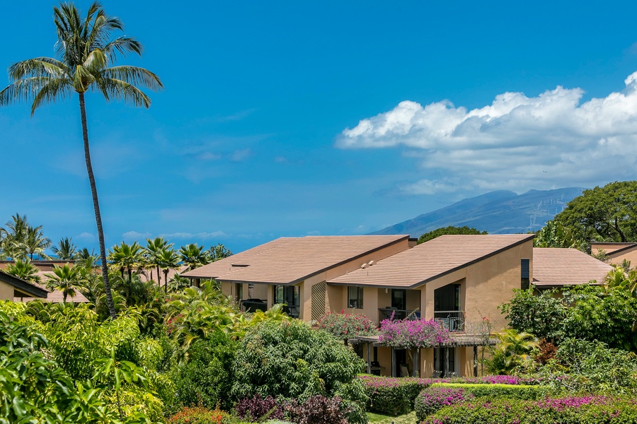 Private setting in lush tropical gardens