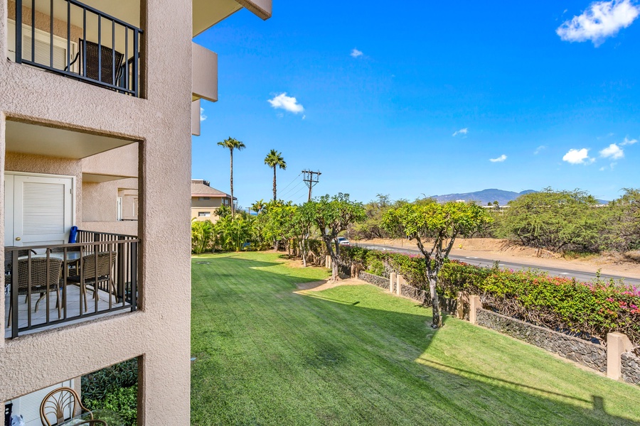 View from the lanai