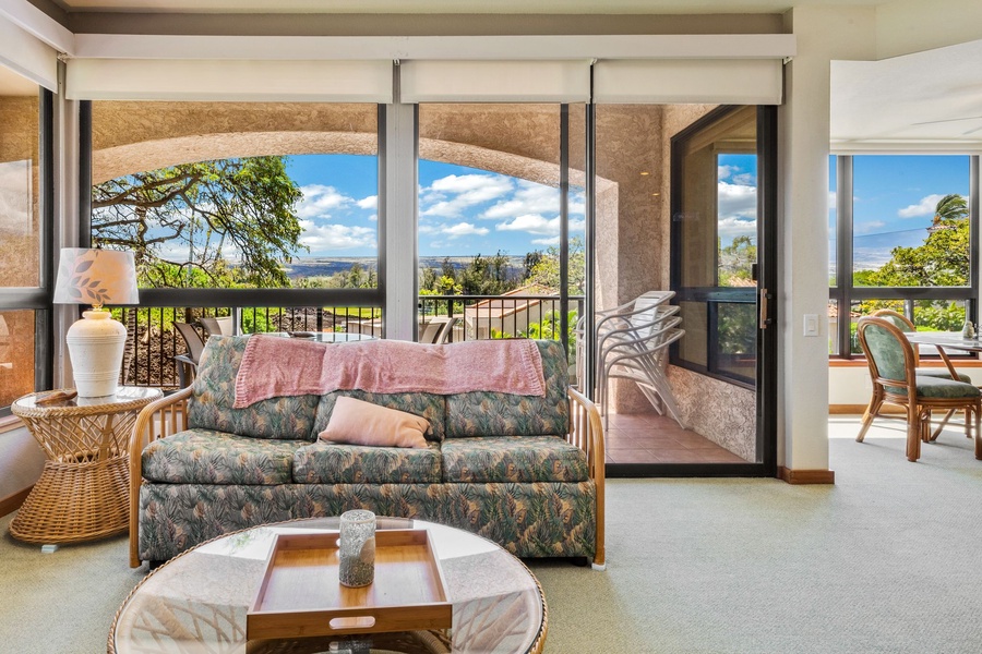 Mountain views from the living room