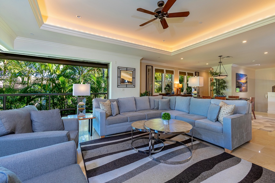 Entry into the living room from the lanai. 