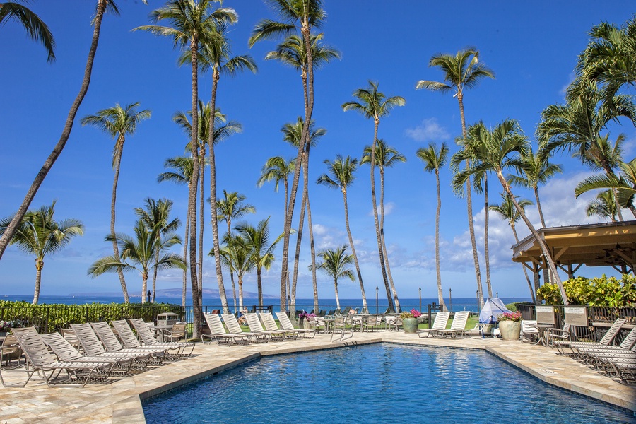 A popular place to be at this ocean front property.