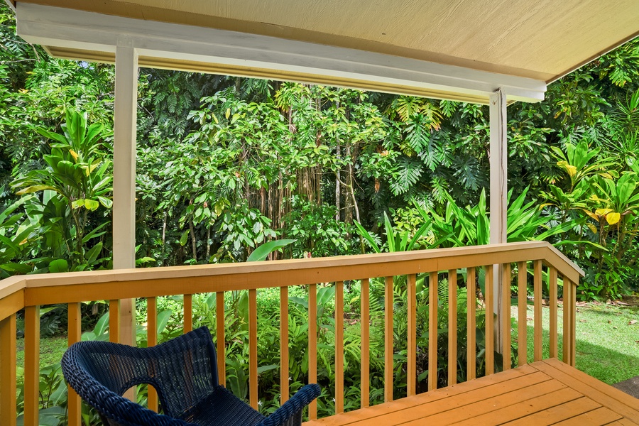 Tropical Views From the Kitchen Lanai