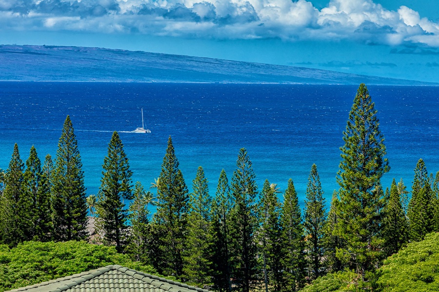 Beautiful views of Kapalua