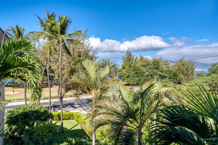 Peaks of the ocean from this condo. 