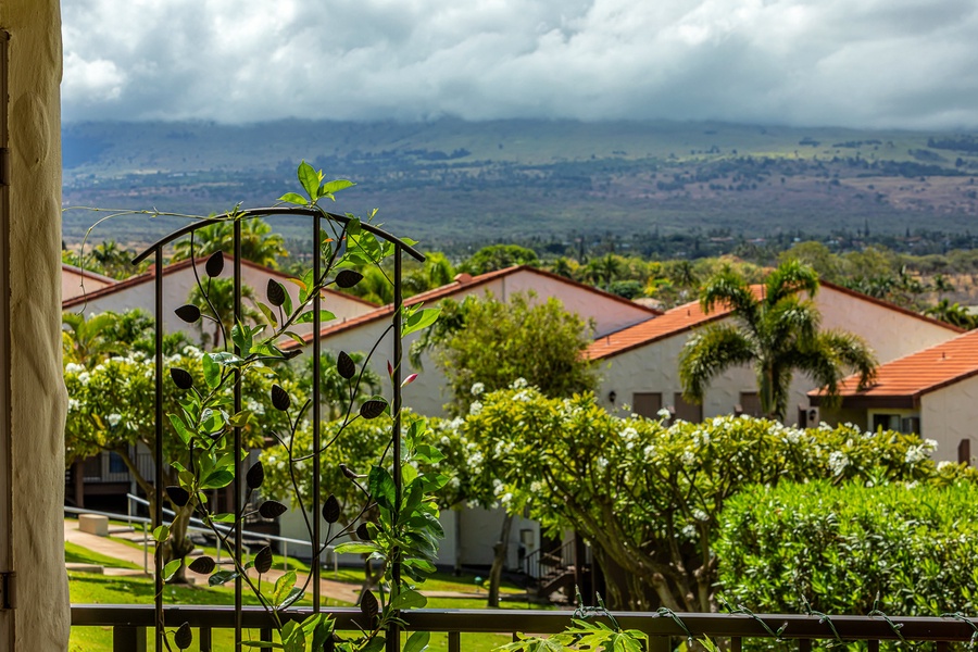 Tropical outdoor view from private lanai