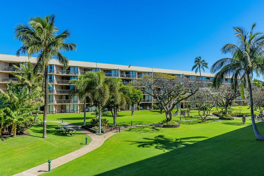 View from lanai looking North