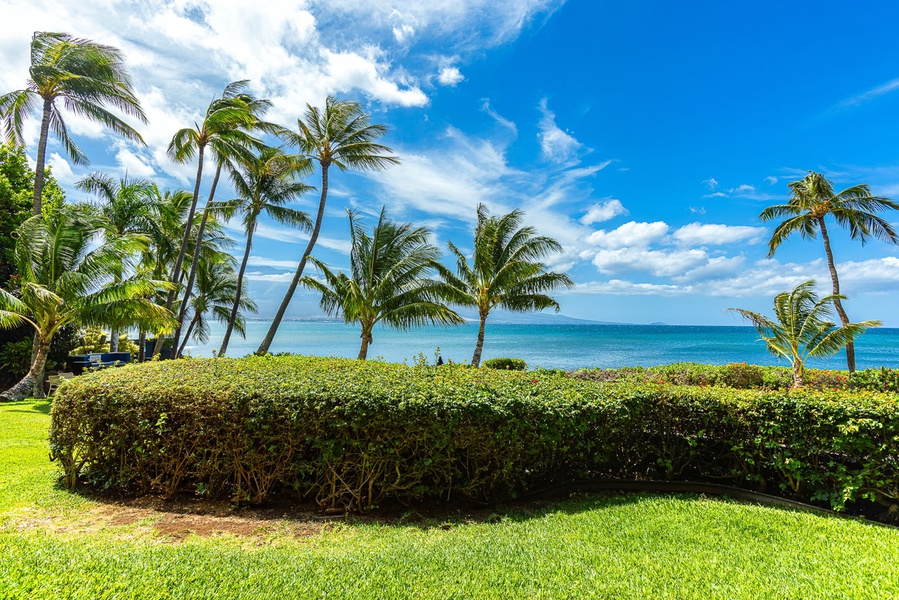 Oceanfront view from the lanai