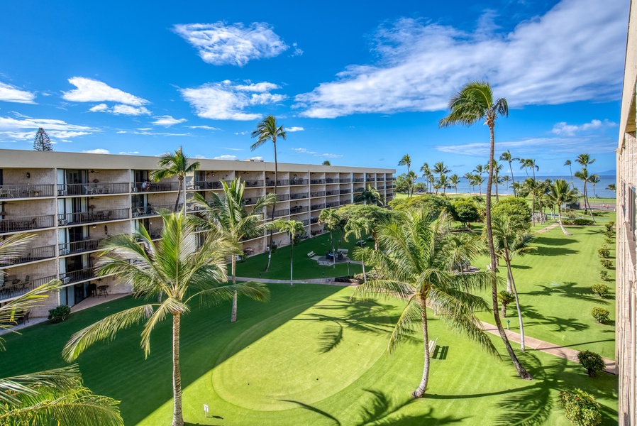 Beautiful oasis outside the lanai