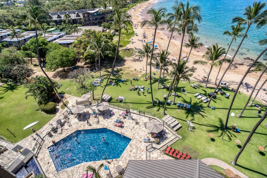 Views of Oceanfront pool with the Majestic Pacific just beyond