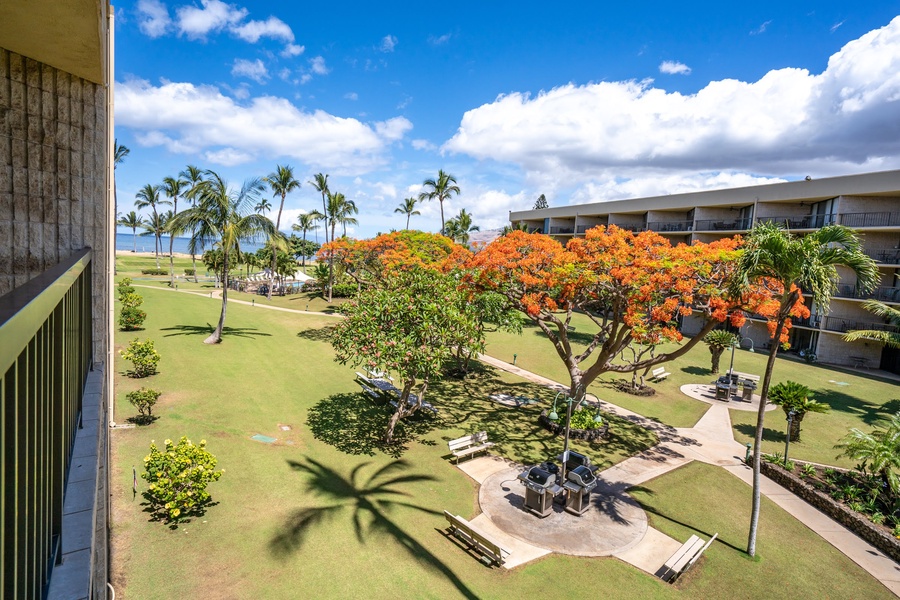 Tropical view from the private lanai