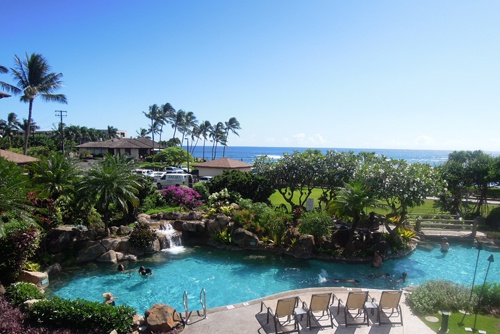 Banyan Pool