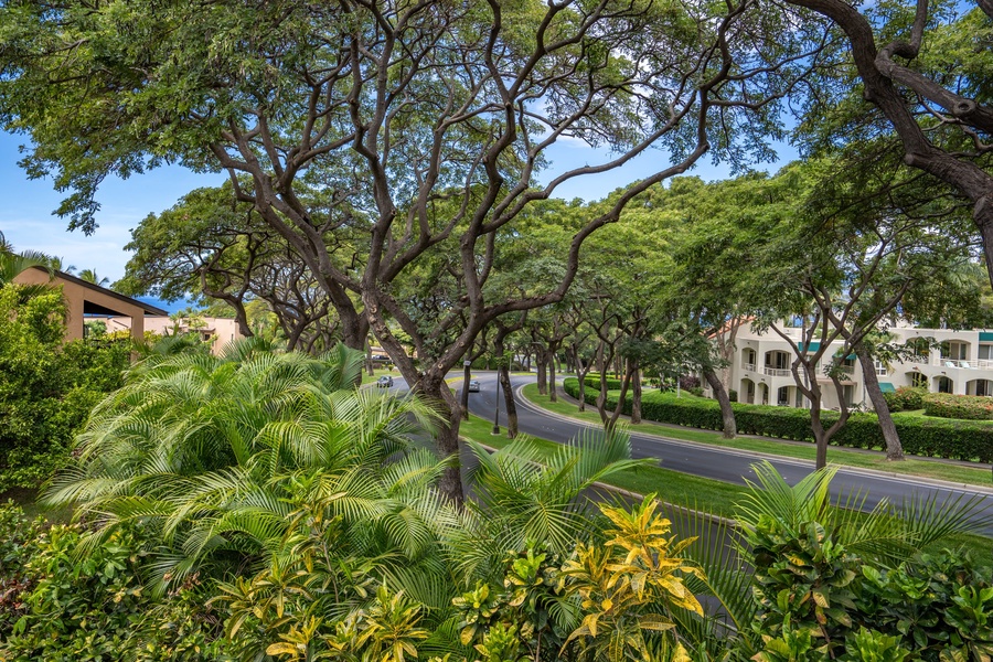 Feel the breeze from your lanai