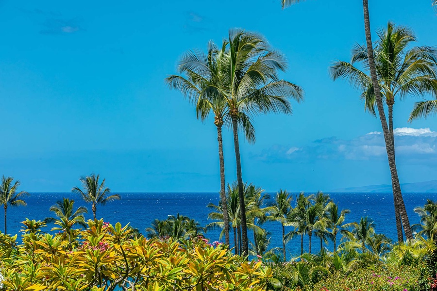 Watch the waves from your balcony!