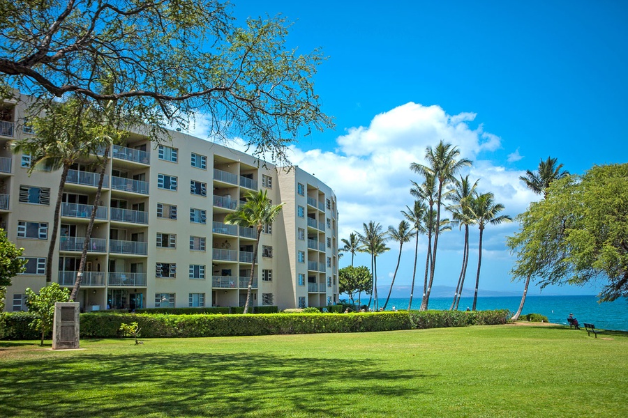 View from the grassy area at Kamaole Beach Park I