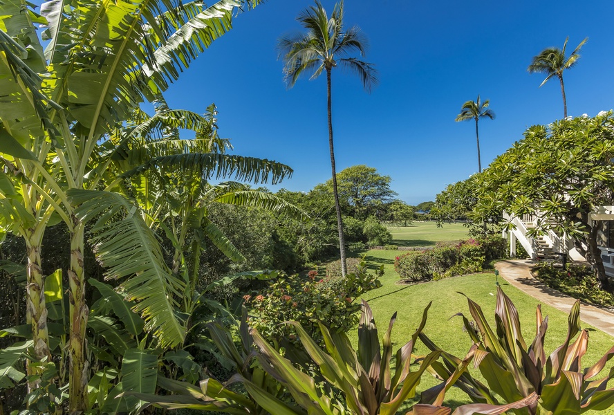 Views from Your Lanai!