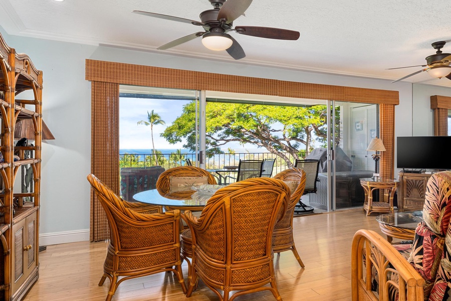 Access To The Lanai