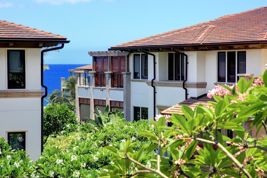 Peek-a-boo Ocean View