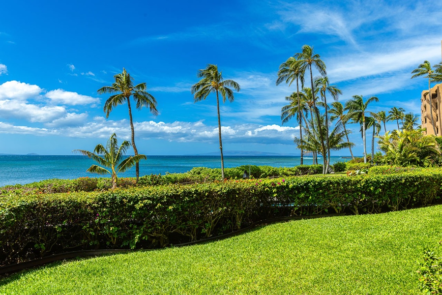 Gorgeous ocean view from the lanai