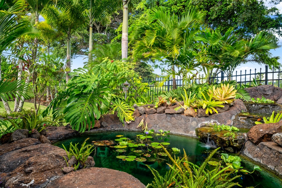 Very private backyard oasis with a tranquil pond.