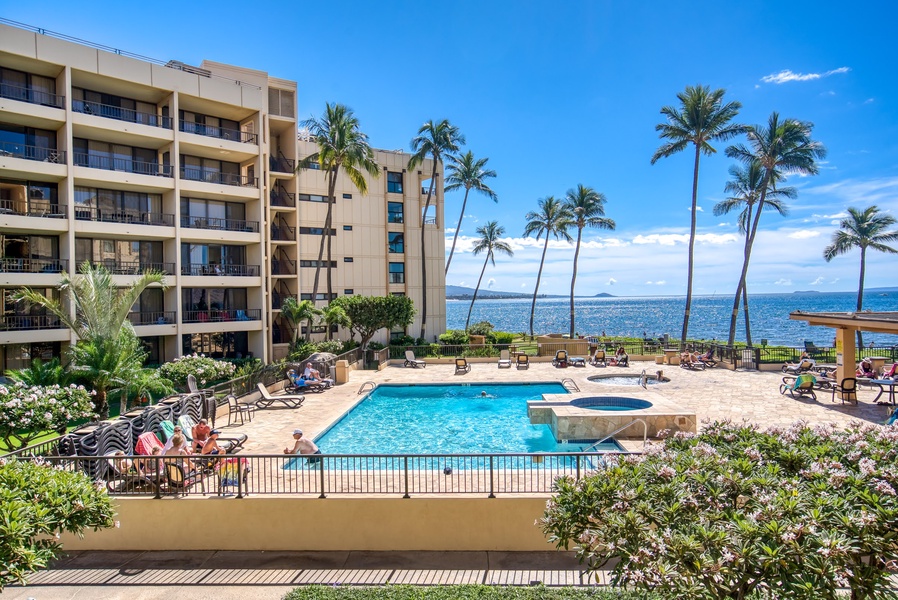 Dip in the Beachfront Pool to Cool Off