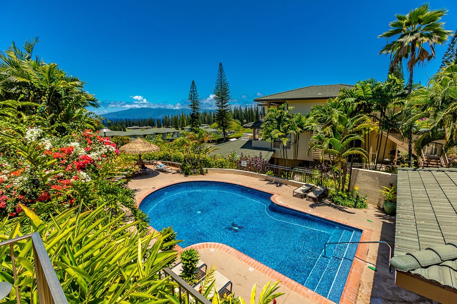 One of 4 heated pools for guest use