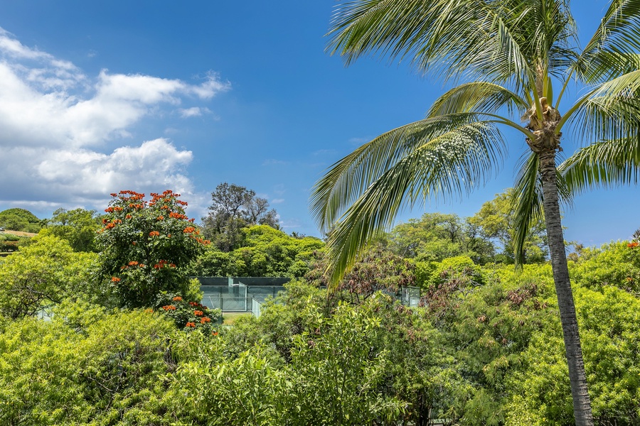 Gorgeous Garden Views