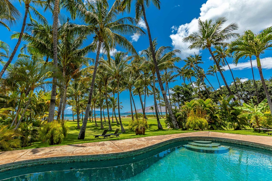 Enjoy the ocean view while cooling off in the pool.