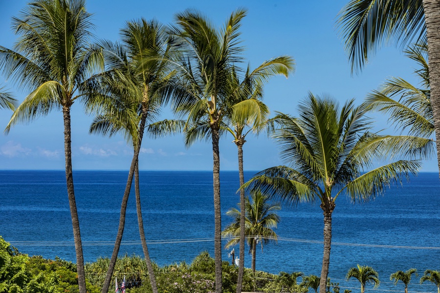 Kamaole Beach III located across the street