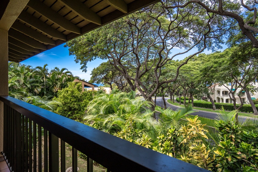 Garden views from all throughout your lanai