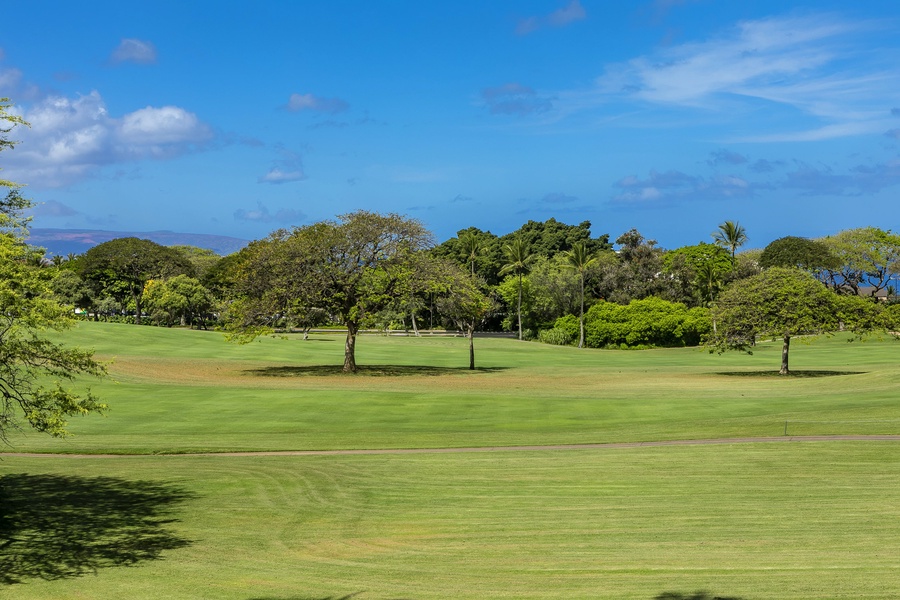 Ocean and Fairway Views