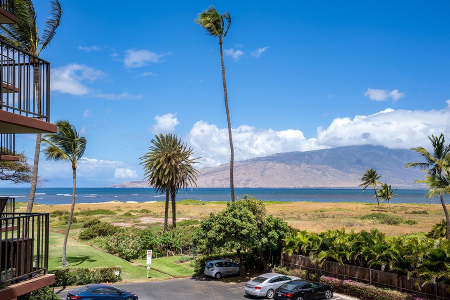 Ocean and mountain view in one!