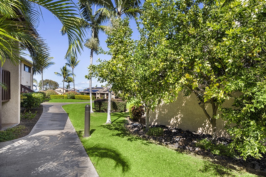 Pathway leading to the complex amenities