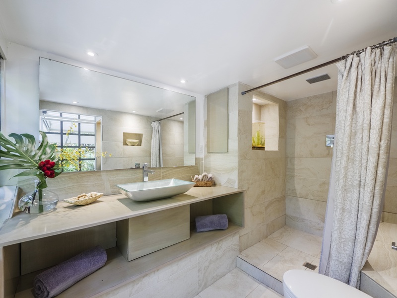 Ensuite bathroom with a wide vanity space and a walk-in shower.
