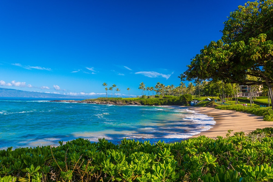 Steps To The Award-Winning Kapalua Bay and Beach