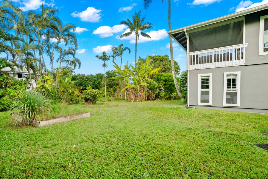 A big backyard perfect for relaxing or playing outside.