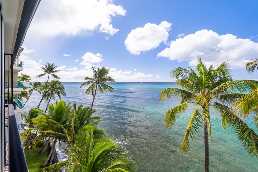 Unobstructed ocean views framed by swaying palm trees, capturing the essence of paradise.