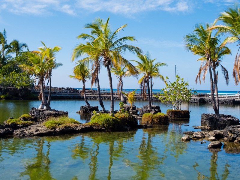 Scenic walking trails meander around ancient fish ponds at the Mauna Lani Beach Club