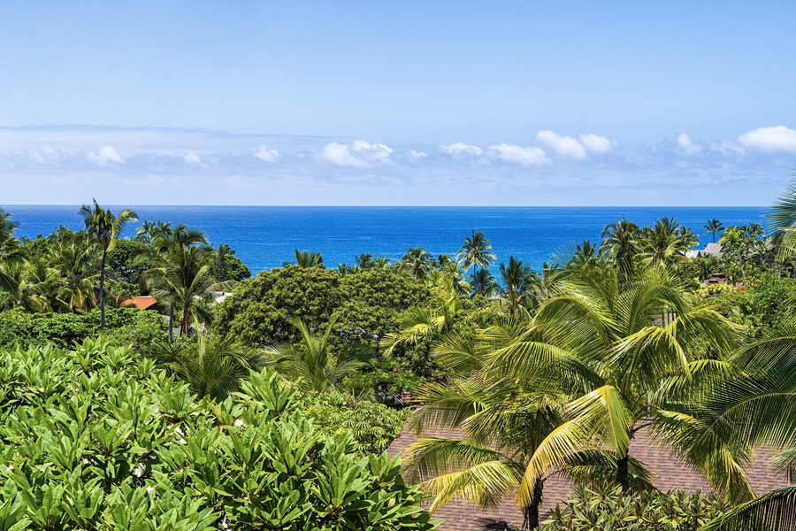 Gorgeous coastline views as far as the eye can see!