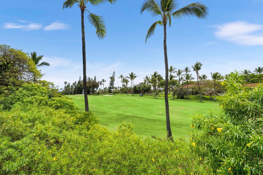 Tall palms frame the golf course green stretching past the yard.