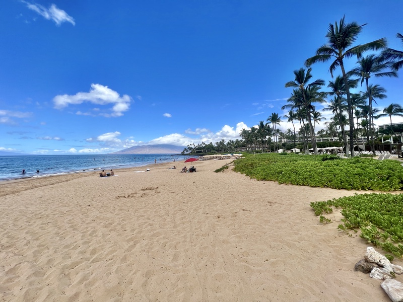 Golden sand and lush greenery meet the sea near Wailea Luxury Residence Hoolei 23-3.