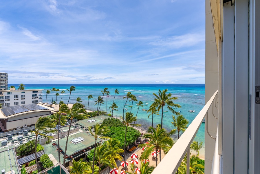 Take in wide Pacific panoramas and palm-dotted skyline views—the ideal backdrop for a relaxing island stay.
