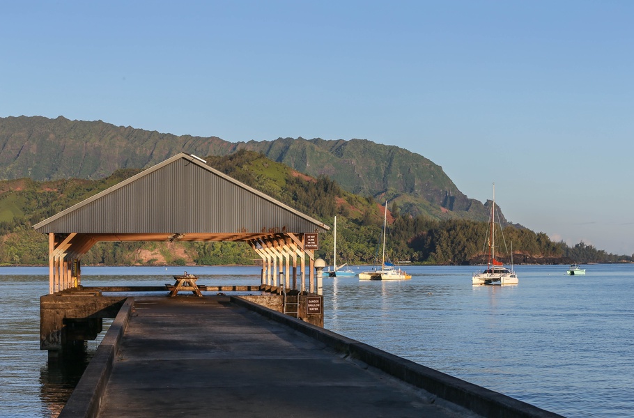 Hanalei Boats