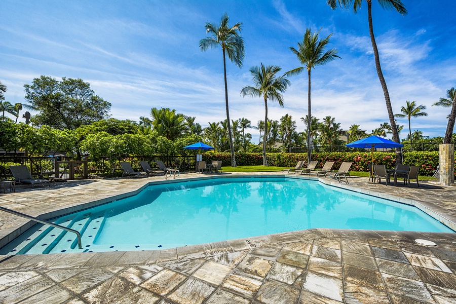 Perfect pool for relaxing in the Kona sun!