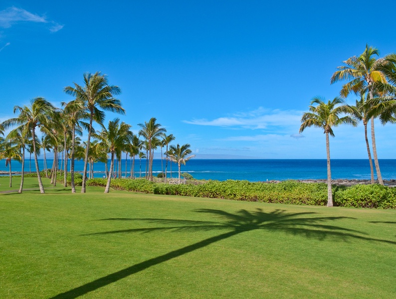 Room To Roam The Beautiful Landscaped Oceanfront Grounds